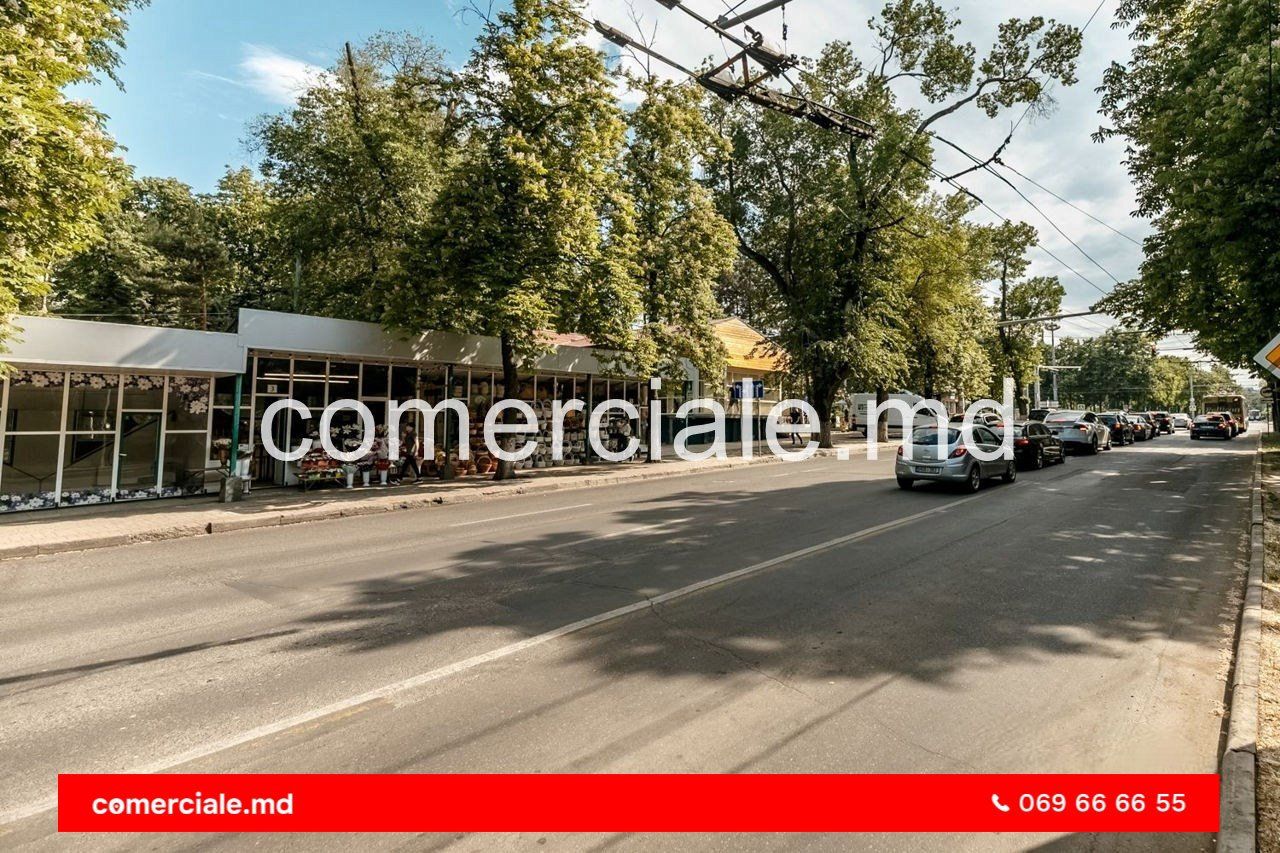 0e3e98cb24da0e56292a64a558efe5b7_001 - copy_001.jpg